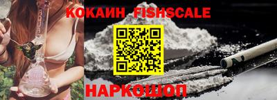 jwh Камышлов
