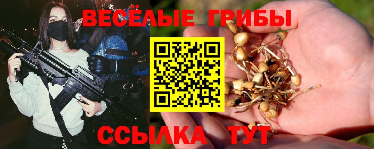 Галлюциногенные грибы MAGIC MUSHROOMS Куйбышев